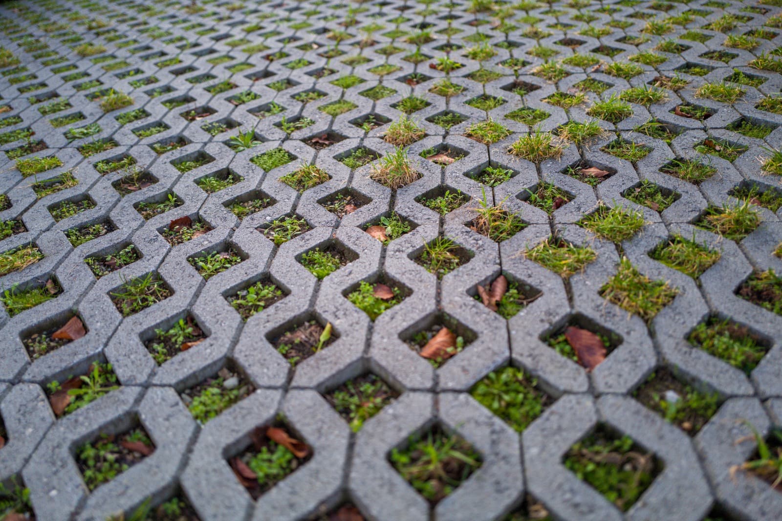 Project Image 2
